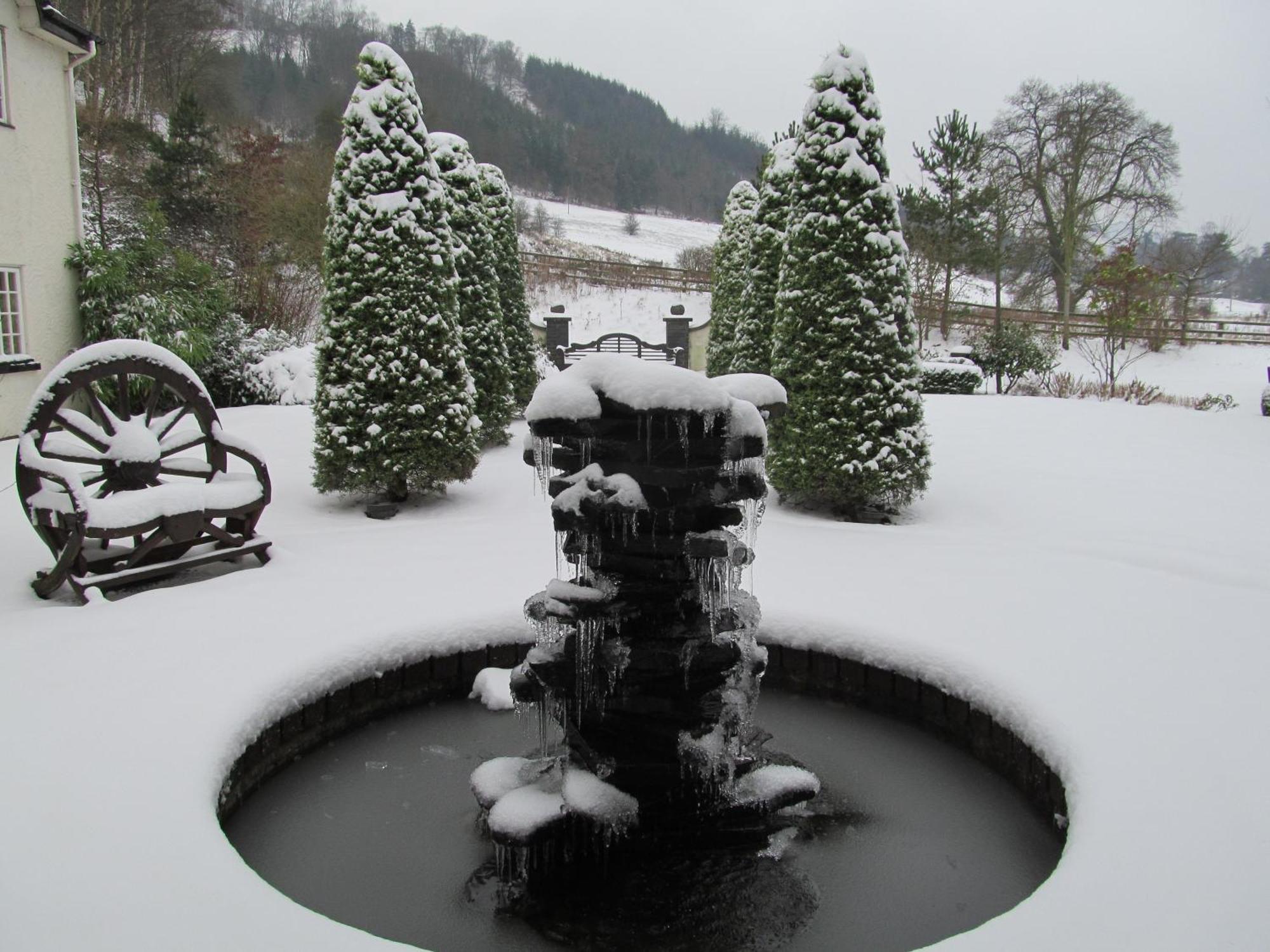 Wild Pheasant Hotel & Spa Llangollen Zewnętrze zdjęcie